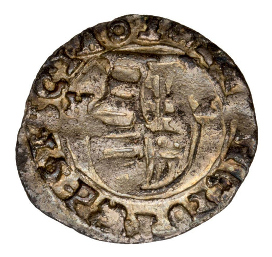 Denar Ferdynand II Habsburg Wegry