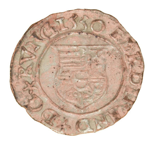 Denar 1555 Ferdynand I Habsburg Wegry