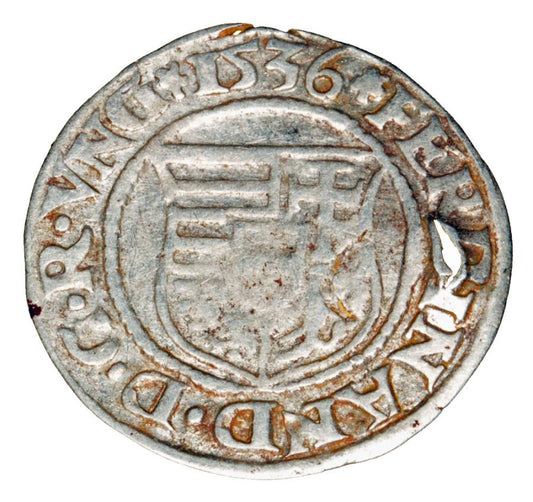 Denar 1536 Ferdynand I Habsburg Wegry Kremnica